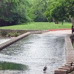 Brackenridge Park