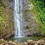 Na Ala Hele: Manoa Falls Trail