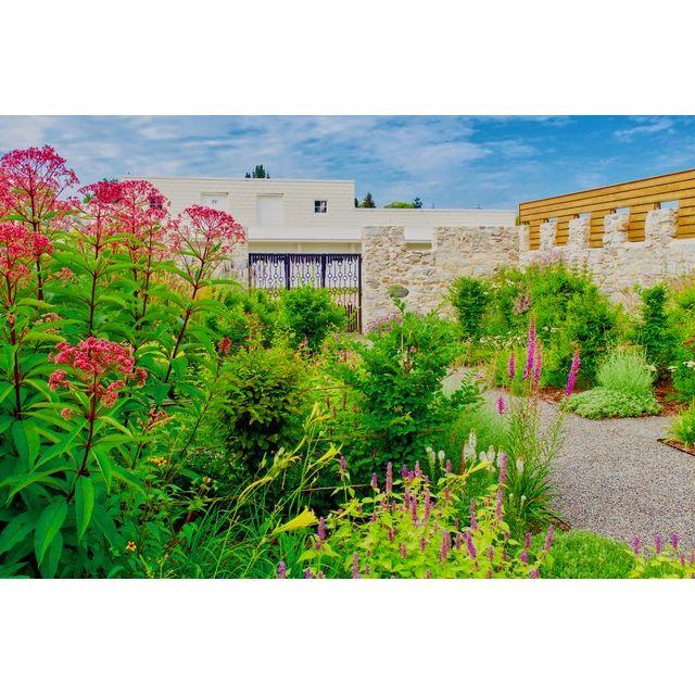 The Stable Garden
