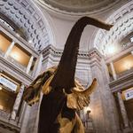 Smithsonian National Museum of Natural History