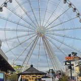 The Island in Pigeon Forge