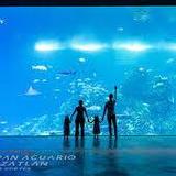 Gran Acuario Mazatlán