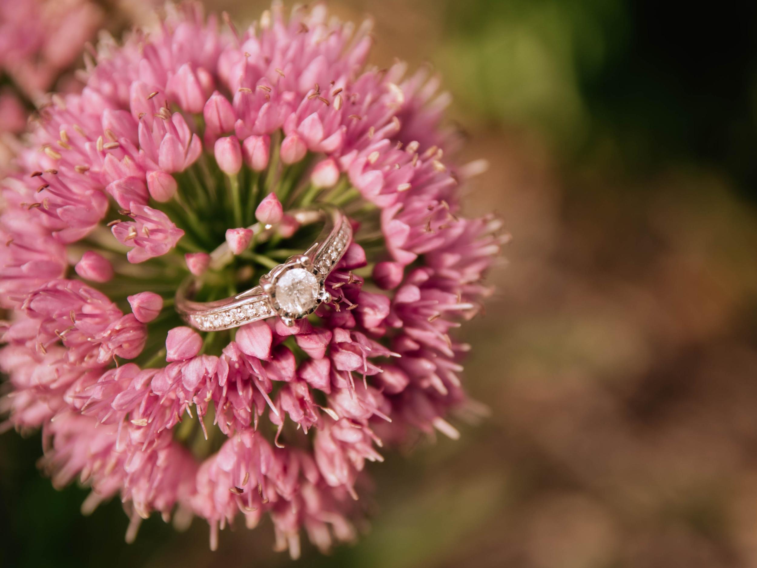 The Wedding Website of Samantha Buchy and Justin Barker