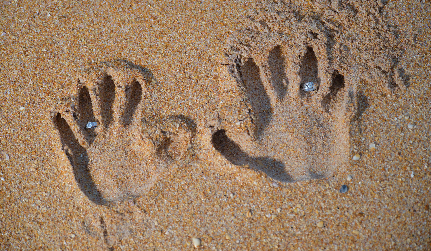 Footer image