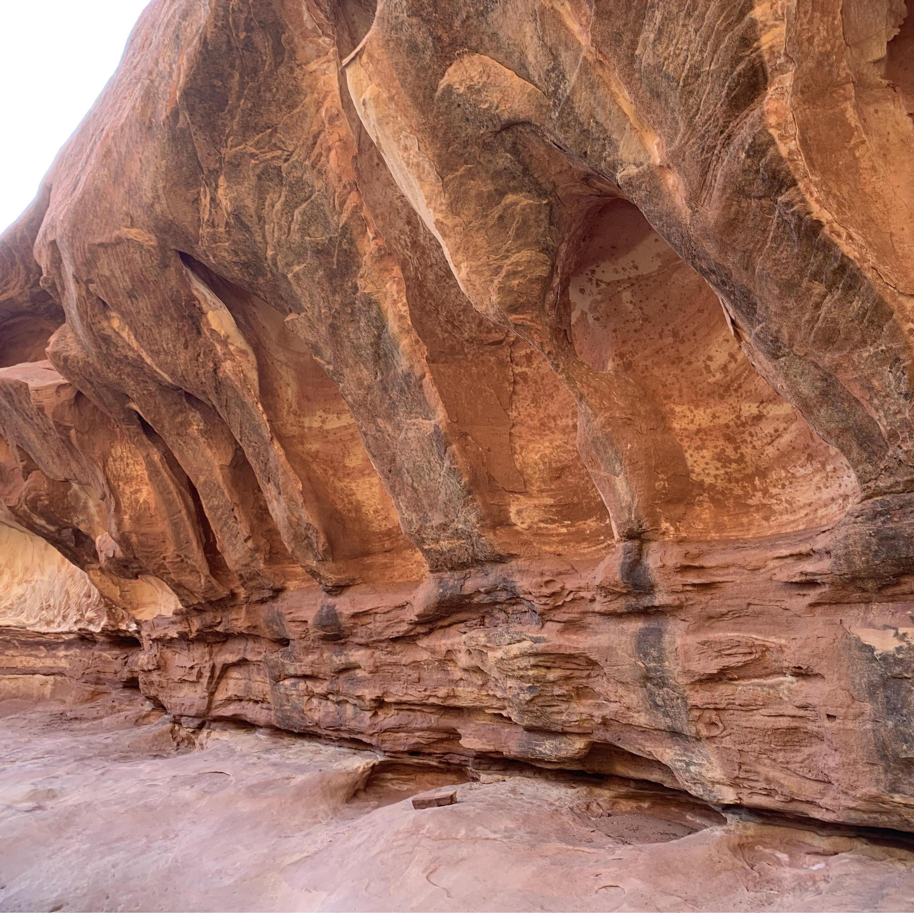 Baby alcoves are known as alklets.
