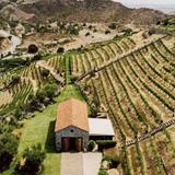 Cielo Farms