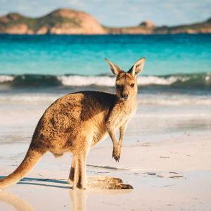 Thunder from Downunder Tour - AUSTRALIA