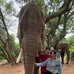 🦁 Safari Trip