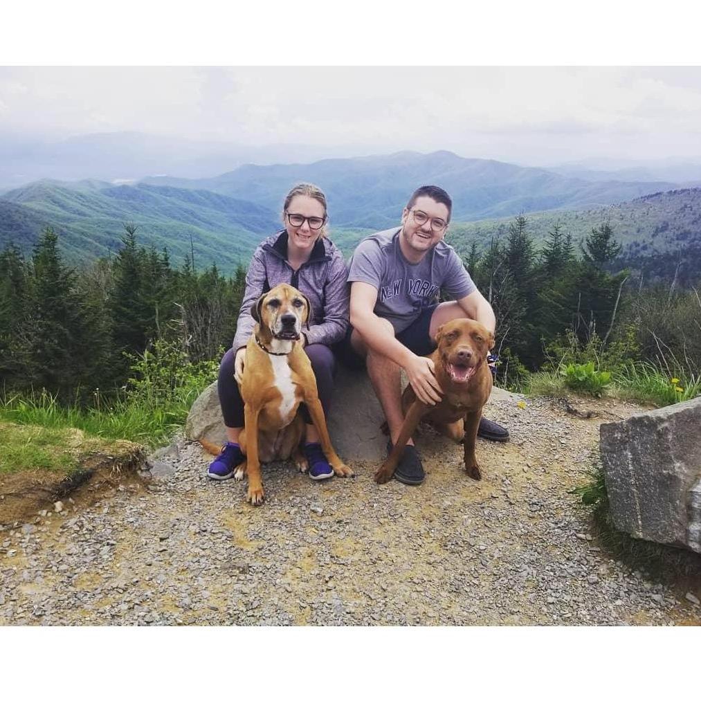 Top of the Smokey Mountain in TN