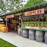 Avila Valley Barn