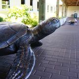North Carolina Aquarium at Pine Knoll Shores