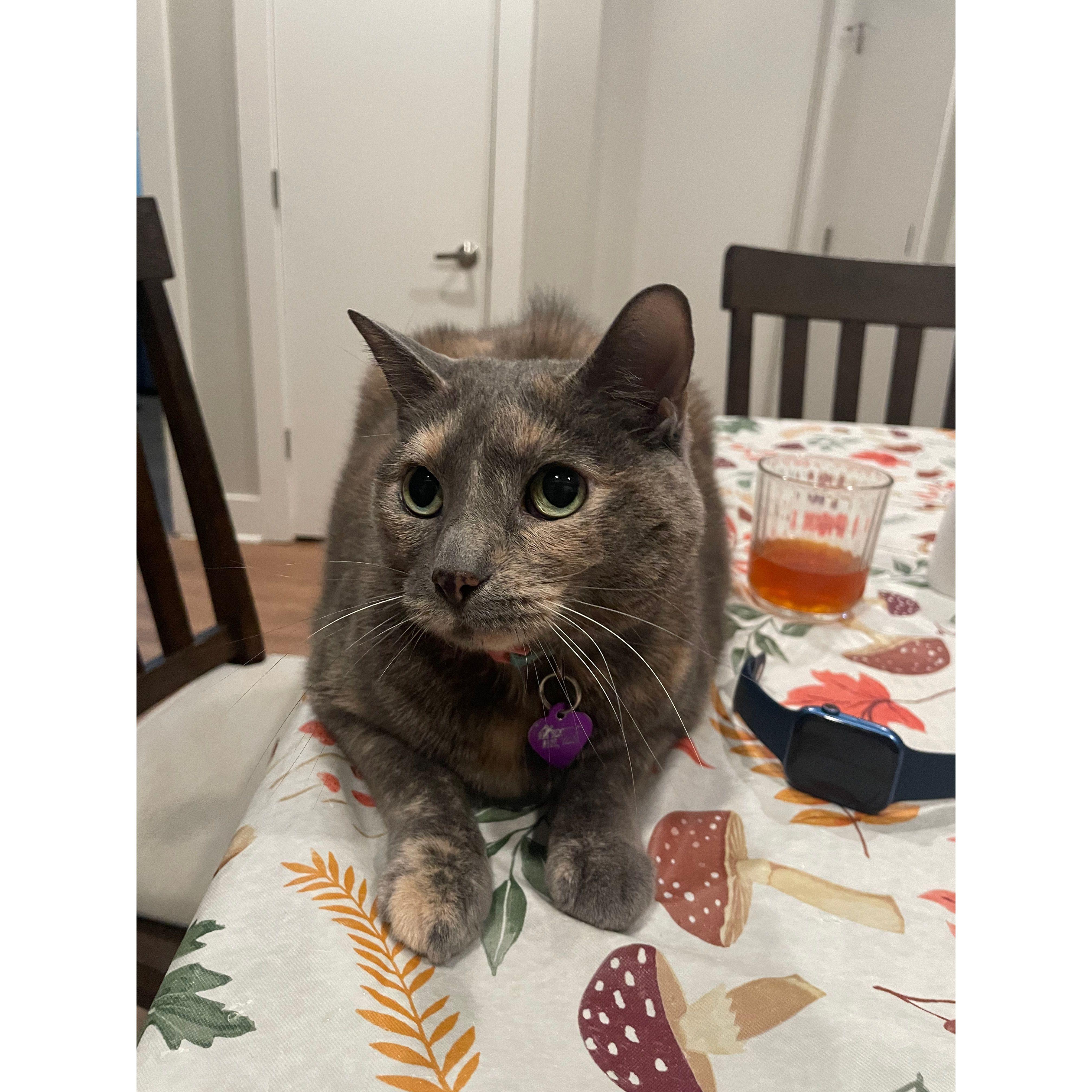 Our senior girl Lola