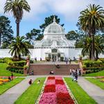 Golden Gate Park