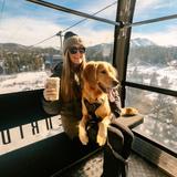 BreckConnect Gondola