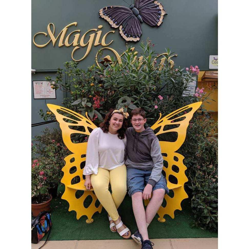 Magic Wings
