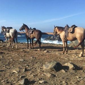 Horseback Riding on our Honeymood