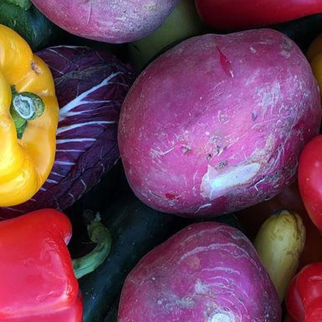 Donate to Food Link - Non Profit Food Rescue Organization