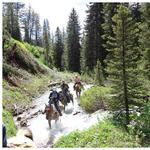 Jackson Hole Trail Rides