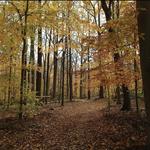 Watchung Reservation
