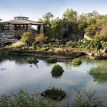 Japanese Tea Garden