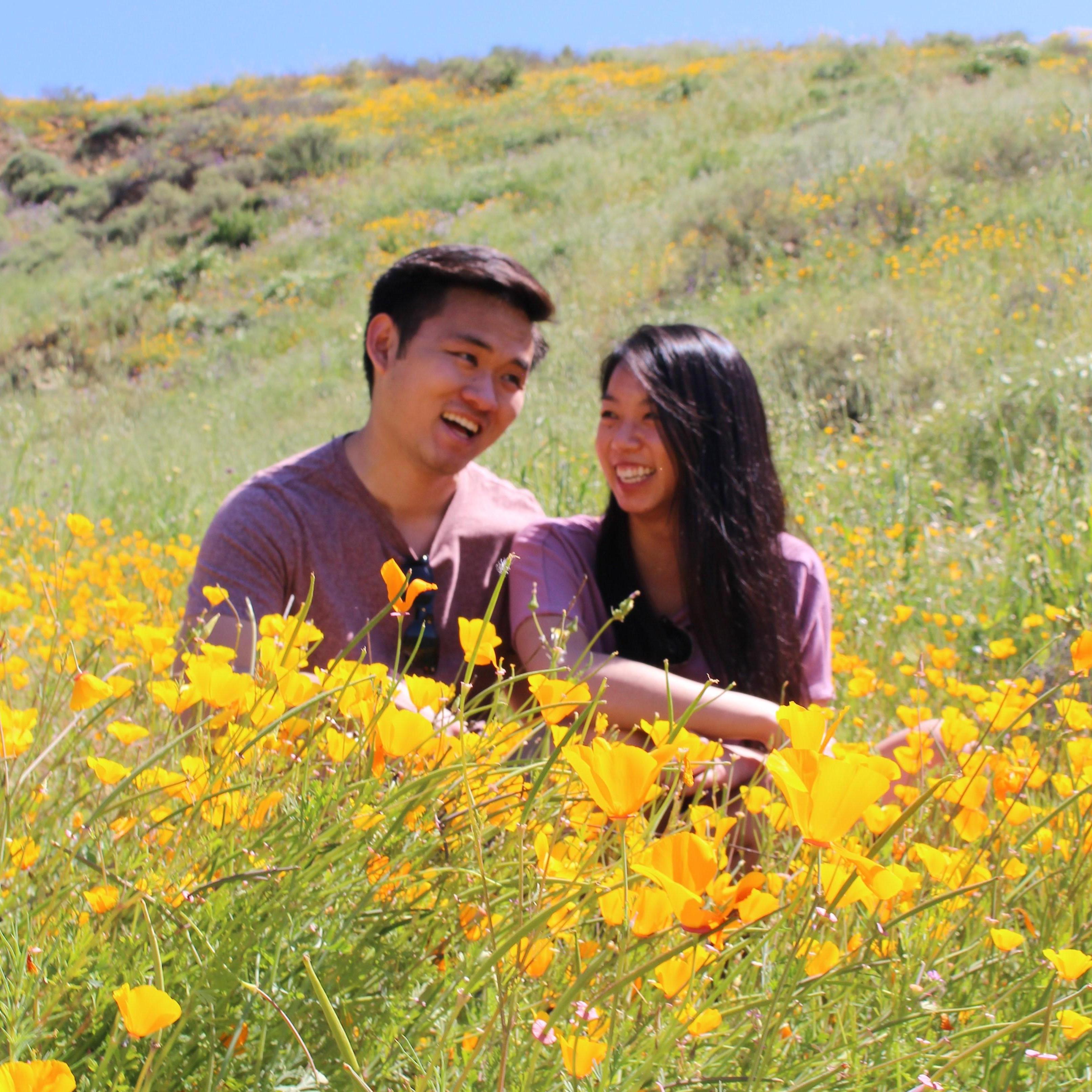 04/2017 - #superbloom
Walker Canyon, Lake Elsinore, CA