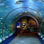 Maui Ocean Center, The Aquarium of Hawaii