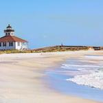 Looking for Shells & Shark Teeth