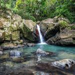 El Yunque National Rain Forest