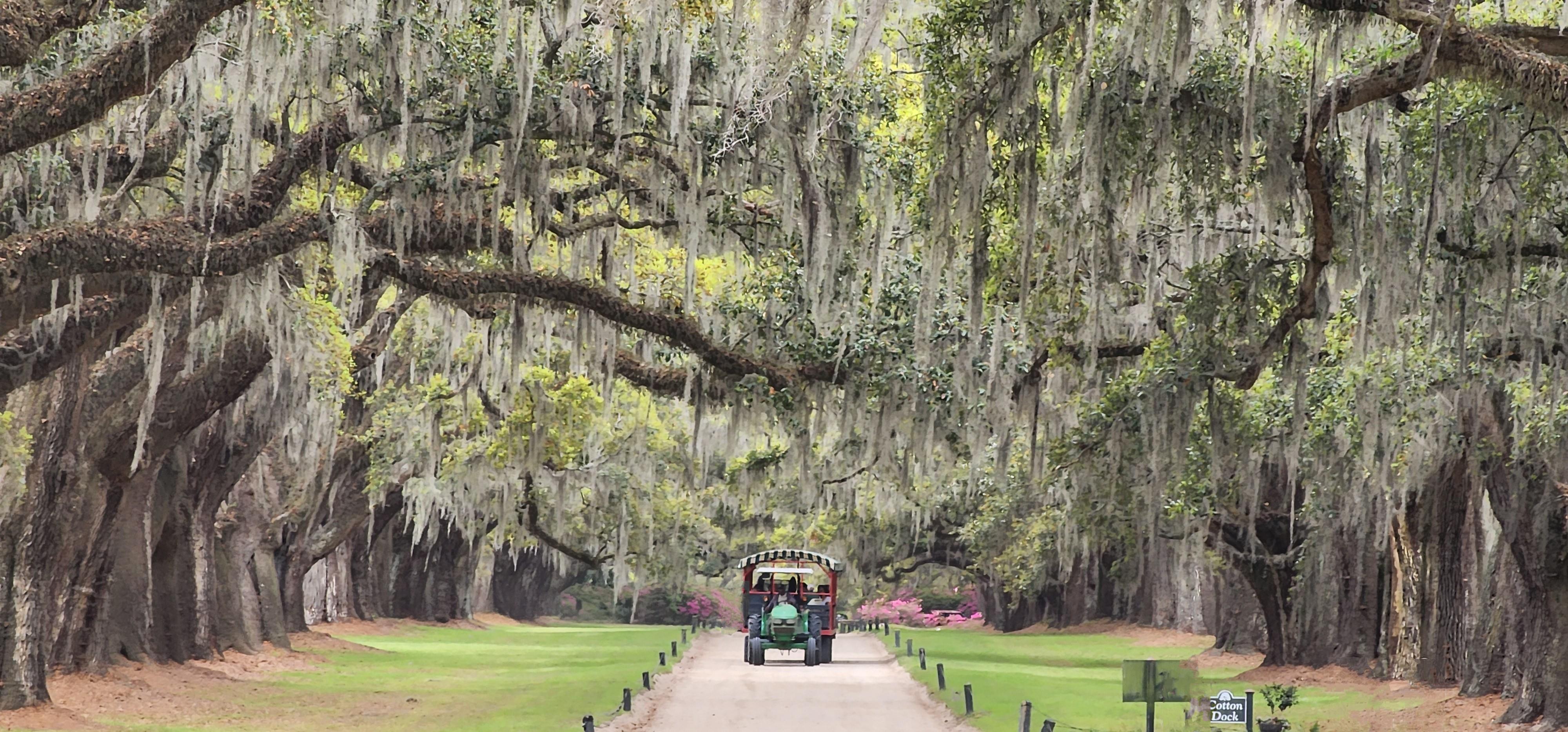 The Wedding Website of Kaitlin Robinson and Jordan Gardner