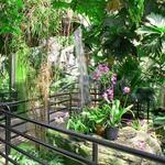 Foellinger-Friemann Botanical Conservatory