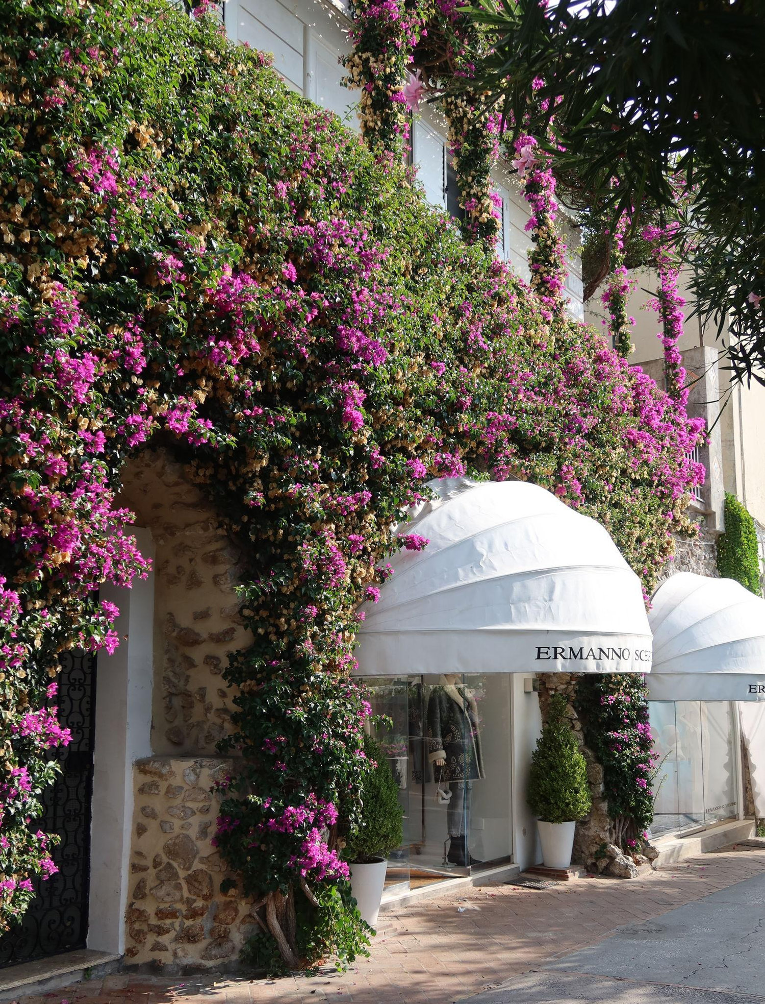 The Wedding Website of Elizabeth Romano and Dylan Jacob
