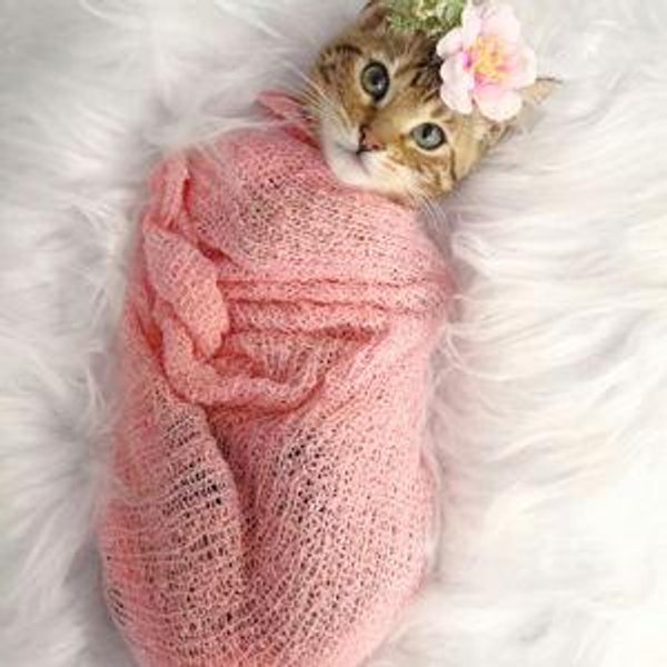 Baby Planning Fund