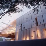 The Museum of Fine Arts, Houston