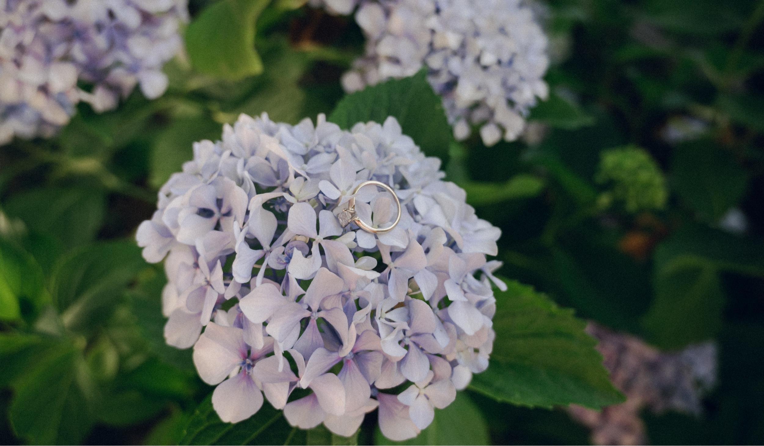 ba2eefef-bc83-4fbd-b1f2-c3d08b8fb157