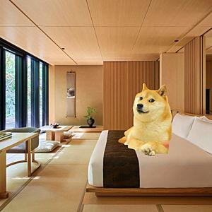 Hotel Stays for our Japan Honeymoon