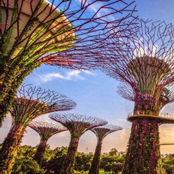 Gardens by the Bay