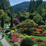 For the Outdoorsy at Heart....