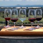 Woodinville Wine Country