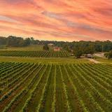Arrington Vineyards