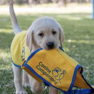 Donate - Canine Companions