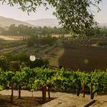 Viansa Sonoma Winery & Tasting Room