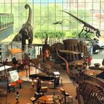 Maryland Science Center