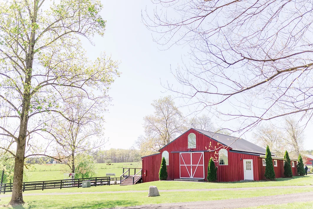 The Wedding Website of Natalie Bemko-Burno and Carolyn Totaro