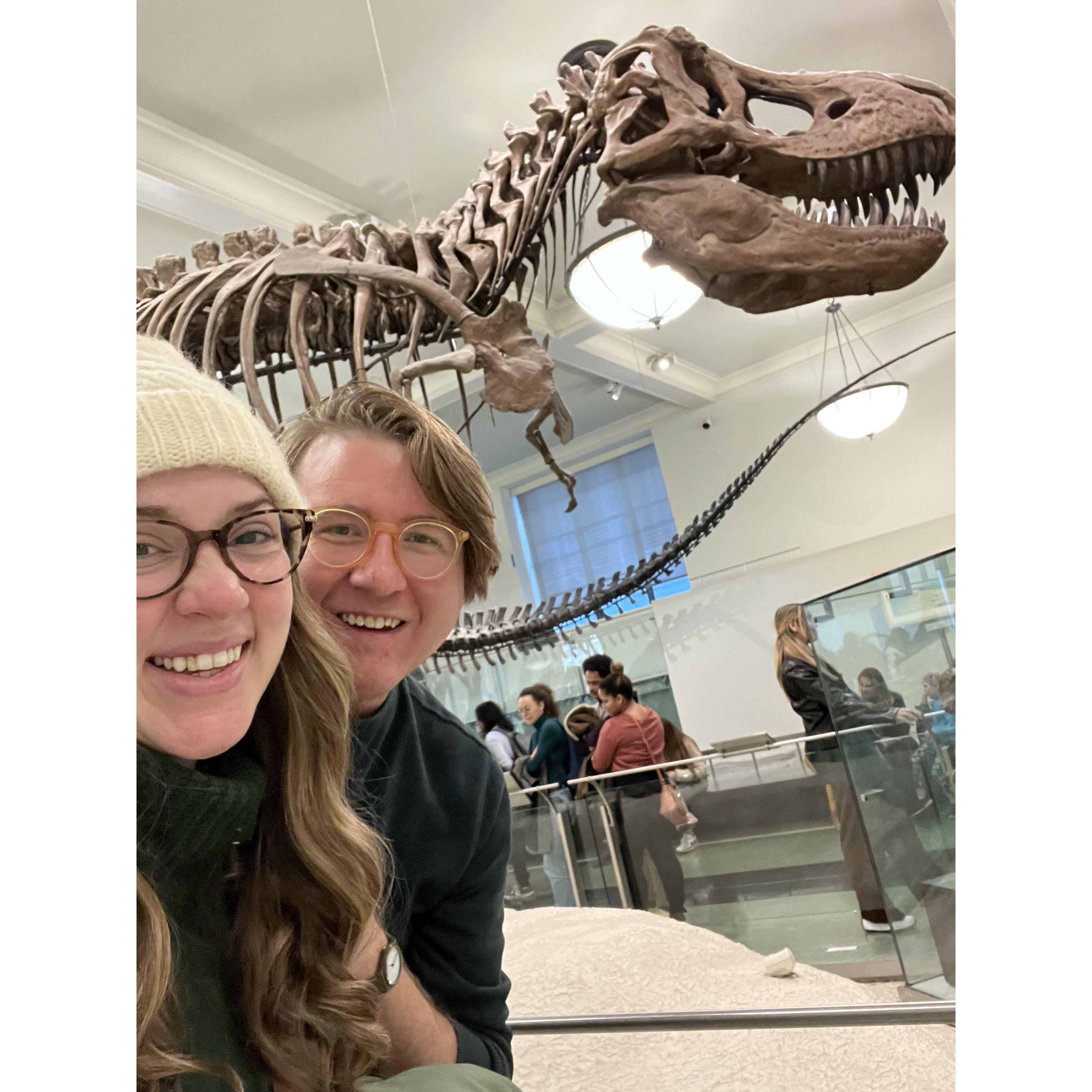 Visiting the dinosaurs at the  American Museum of Natural History in NYC!