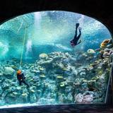 Seattle Aquarium