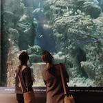 South Carolina Aquarium