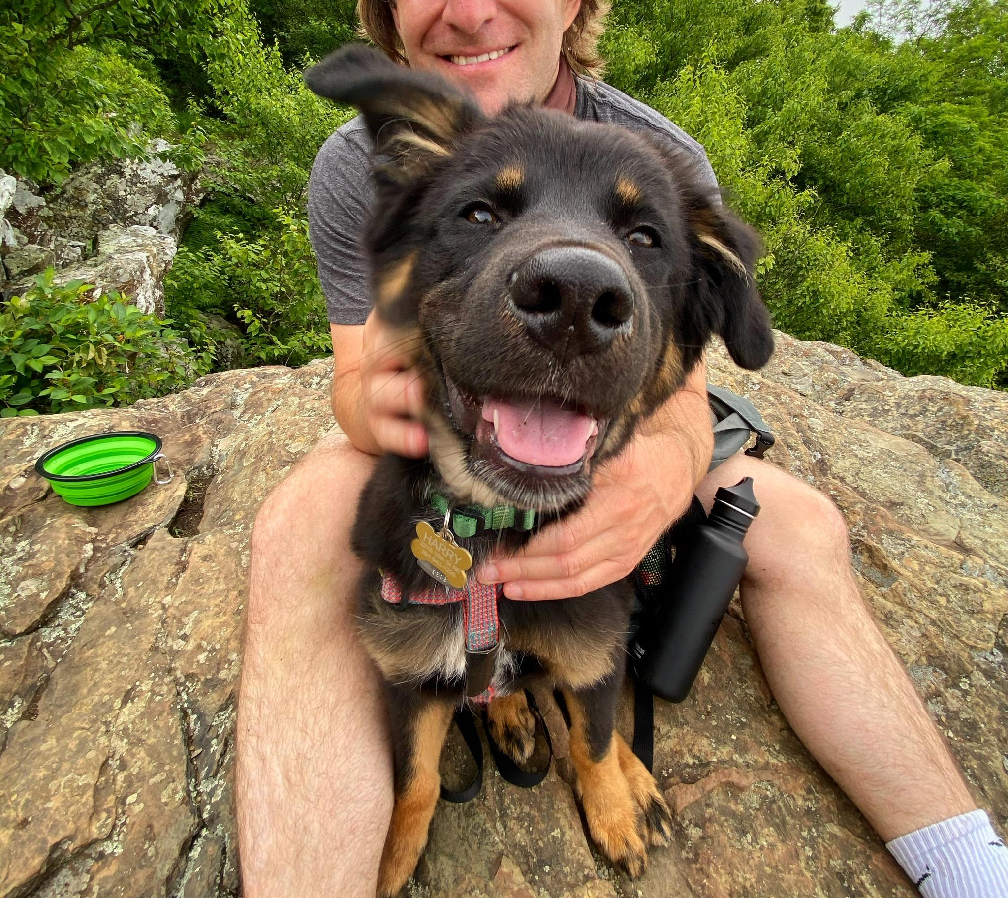 The Wedding Website of Linley Cohen and Jules Krinsky