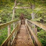 Elachee Nature Science Center