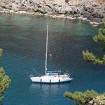 Half Day Coastal Sailing Tour