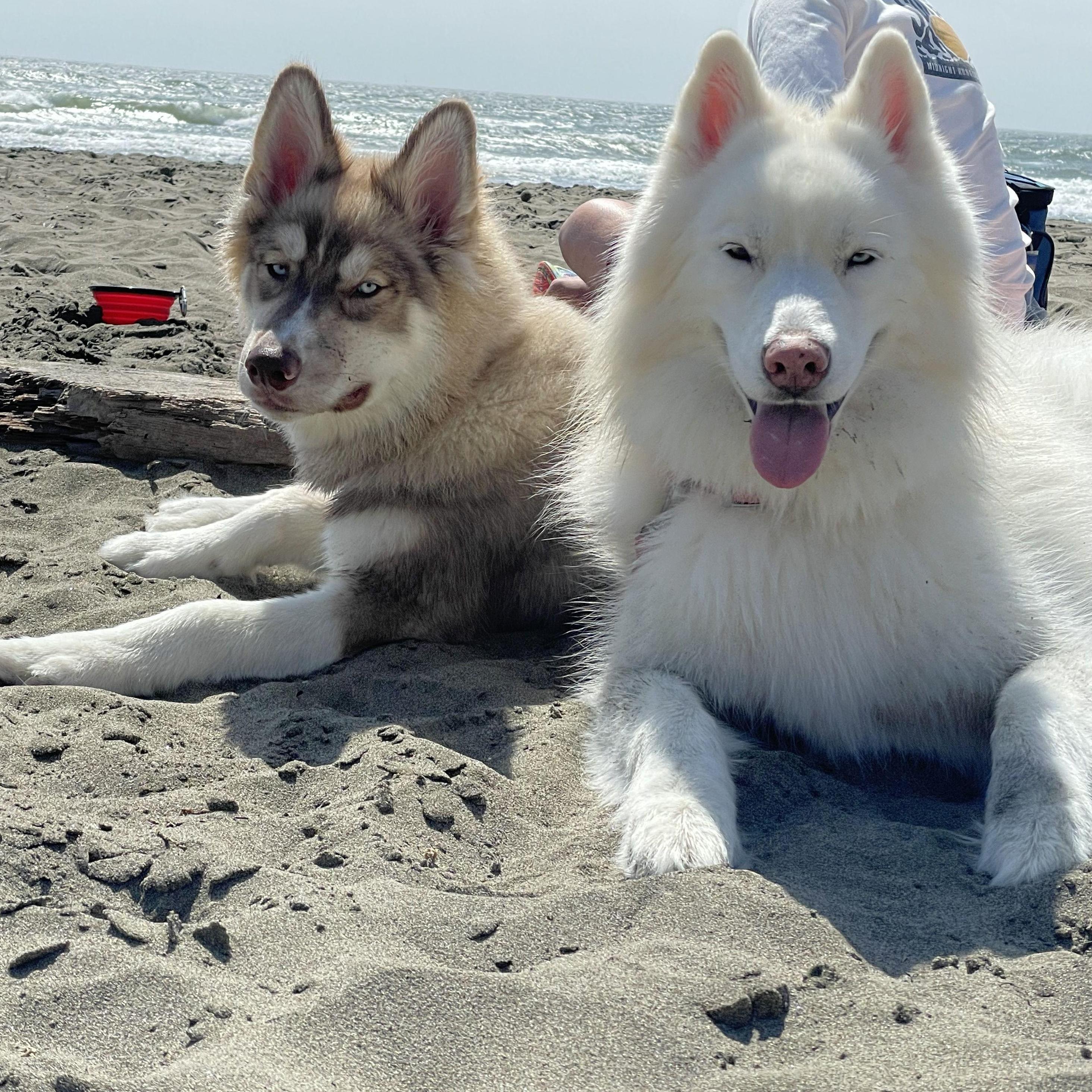 2021: The boys hit the beach.